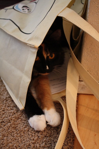 hiding spot
