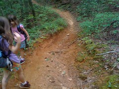  Turner Creek Trail - below grade 
