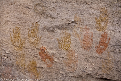 Cave Spring Handprints