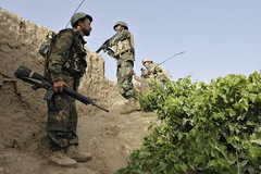 Afghan Forces