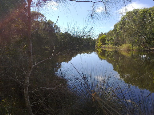 Stumers Creek, Coolum