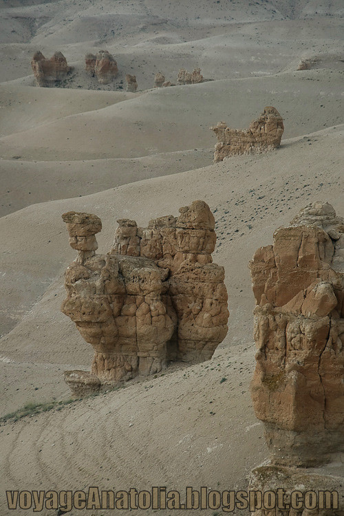 Rock Sculptures in the Desert by voyageAnatolia.blogspot.com