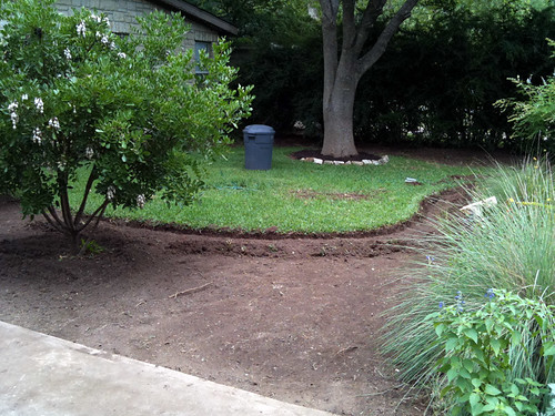 Day 2 of garden project