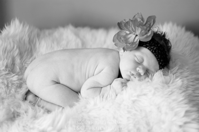 bBaby Rees_6329 bw
