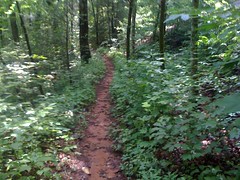  Smith Creek Trail