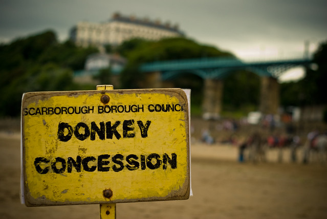 040710_ Donkey Concession