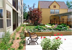 senior housing garden (courtesy of Perry Rose)