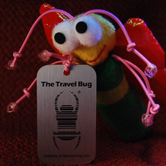 TravelBug-Butterfly_02