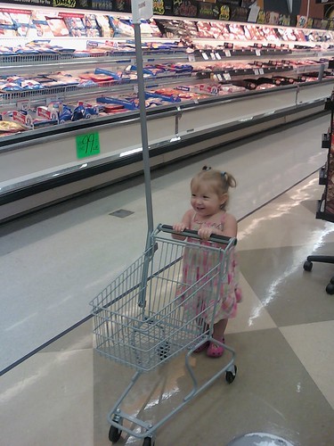 Shopping Cart 