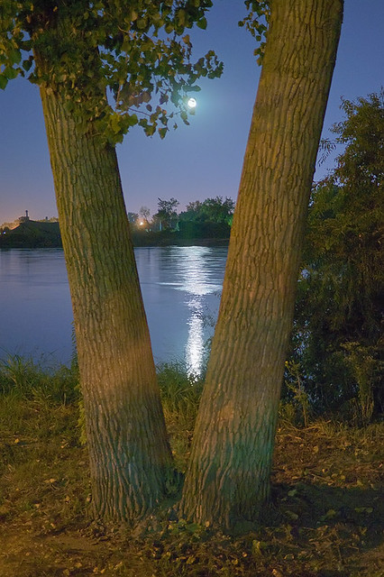 Night view of the Missouri River, in Saint Charles, Missouri, USA - moonrise between trees