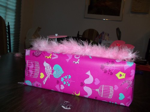 Emily's Valentine Box 2011