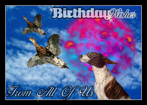 birthday wishes greetings. Birthday Wishes fly through
