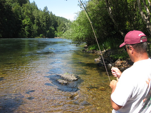 Will trout mckenzie river