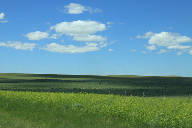 Prairie shot