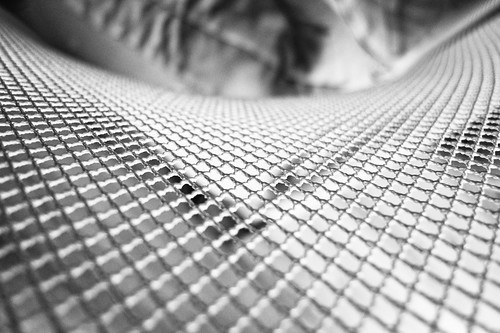 the net Taken with Samsung EX1 ( TL500)
