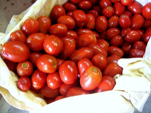 tomatoesplum