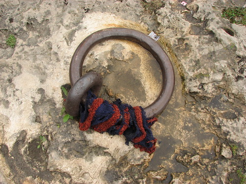 Ring cosy again