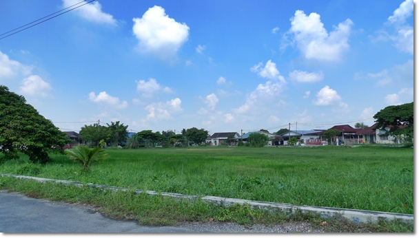 Field Opposite Aulong Heo Pia