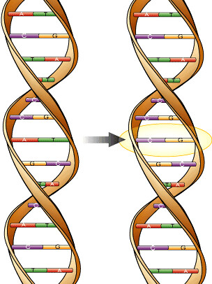 Mutação genética ocorrida no DNA após sua replicação