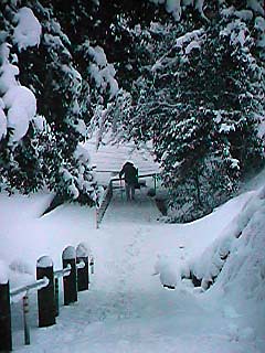 Pilgrim in the Snow