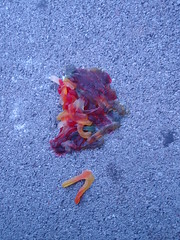 melted gummi worms
