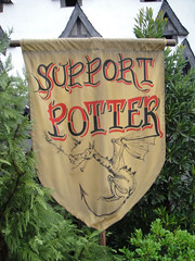 Wizarding World of Harry Potter - Support Potter Triwizard Champion banner