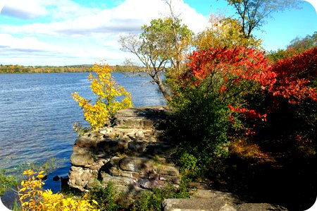 fall leaves among the ruins at Westboro Beach
