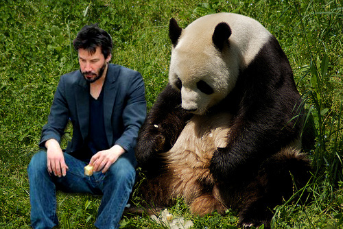 Sad Keanu and Sad Panda :(