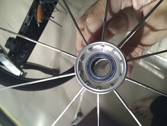 Building Carbon rim Wheel