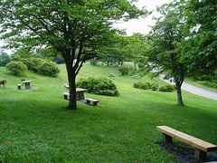 Craggy Gardens picnic area (by: Doug Bradley, creative commons license)