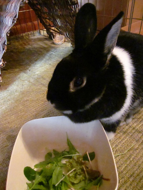 Yummy salad!