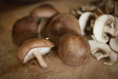 Glorious mushrooms