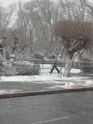 Dude Walking in Snow ©  upyernoz