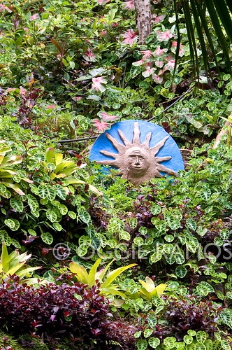 La Union - Botanical Garden Jungle Face