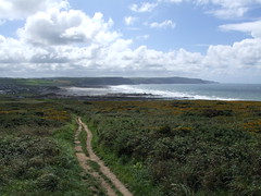  Widemouth Bay