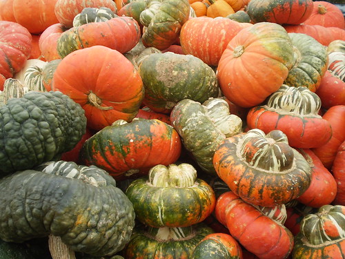 Turk Turban pumpkins