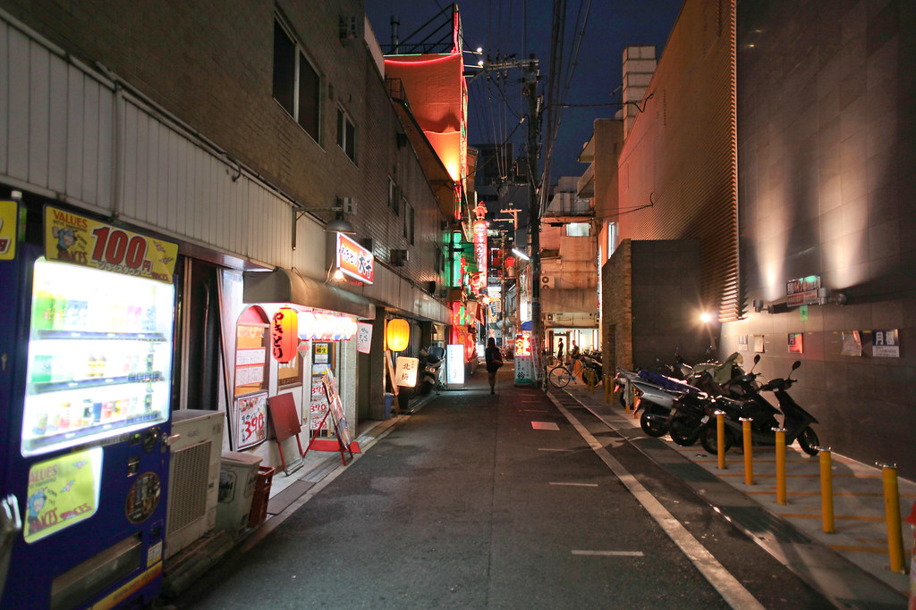 Прогулка по вечерним улочкам Кобе и Осаки Osaka