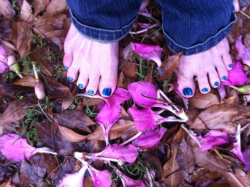 Brown Leaves/Pink Flowers/Blue Toes