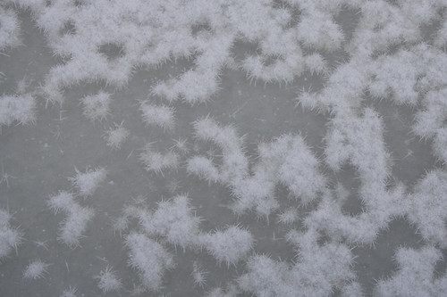 snow crystals on ice