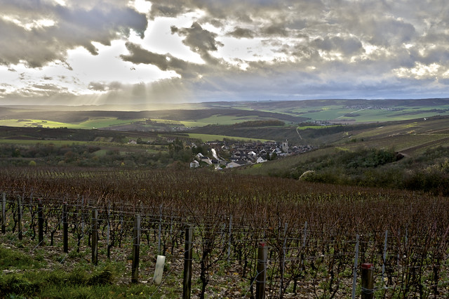 Irancy-Bourgogne
