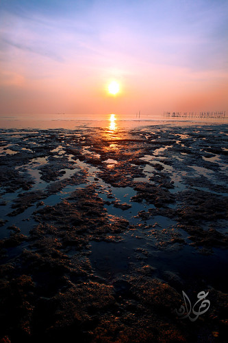 Low tide, Muar, Johor