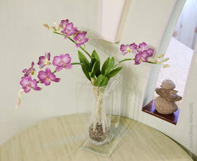 Орхидеи Dendrobium OrchidDendrobium.jpg
