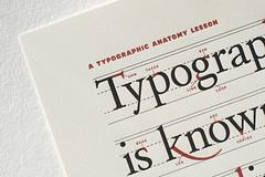 A Typographic Anatomy Lesson