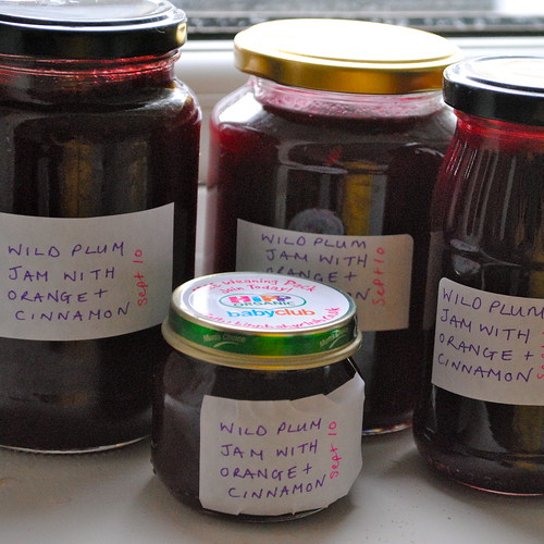 foraging and preserving