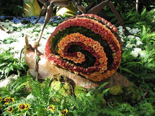 flower snail