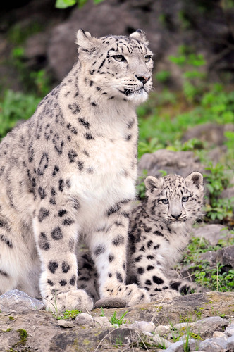 Kailash posing with her mother