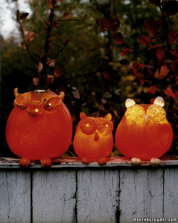 martha-stewart-owl-pumpkins