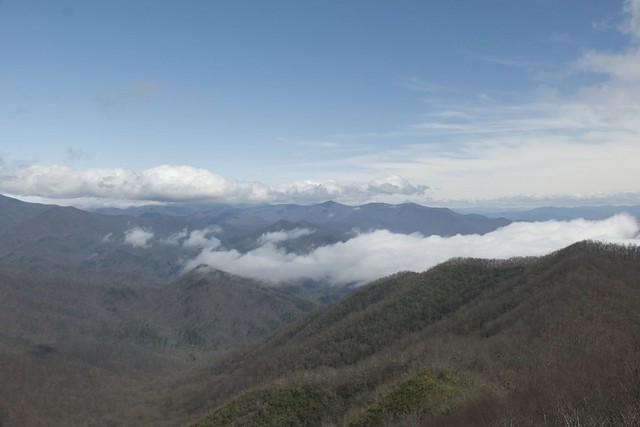 View from Shuckstack Fire Tower 