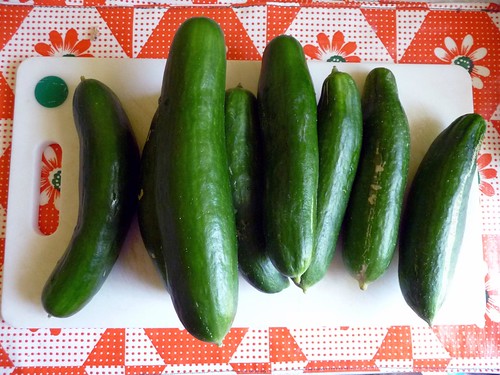 pickles 024