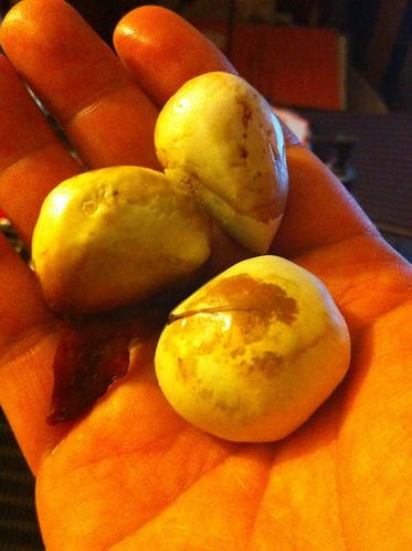 Jackfruit Seeds